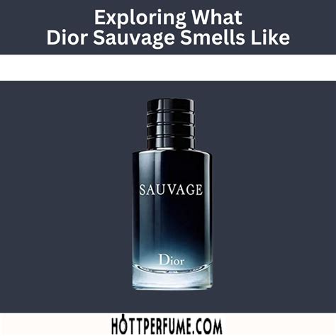 sauvage dior herren|what does Dior Sauvage smell like.